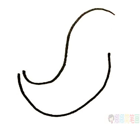 海豹的简单画法步骤-2
