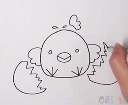 刚出生的小鸡简笔画,小鸡儿童简笔画步骤-3