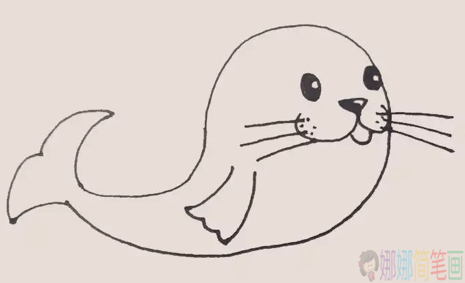 海豹简笔画,海豹儿童画画法-6