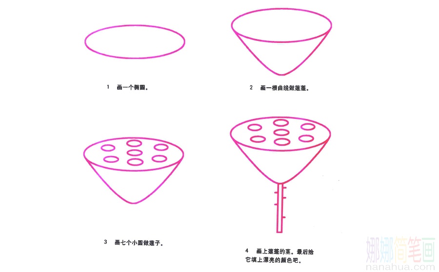 莲蓬的画法-1