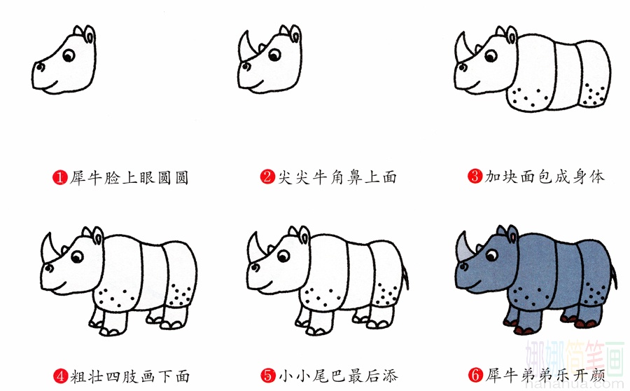 犀牛的画法-1
