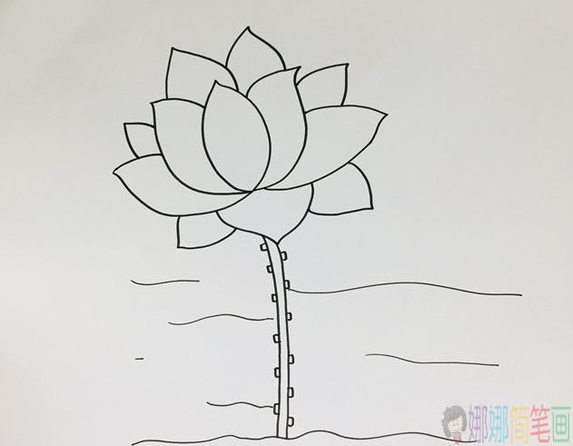 好看的荷花简笔画步骤,简笔画图片-3