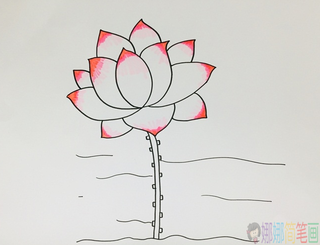 好看的荷花简笔画步骤,简笔画图片-4