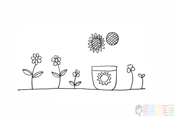 好看的向日葵的简笔画,向日癸的画法-13