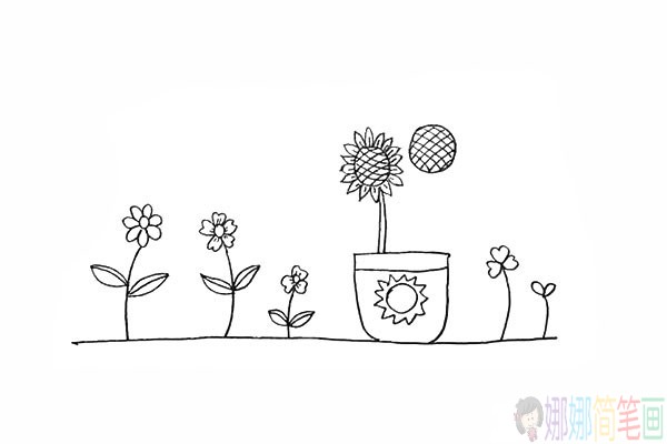 好看的向日葵的简笔画,向日癸的画法-14