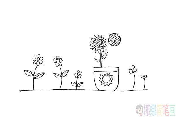 好看的向日葵的简笔画,向日癸的画法-15