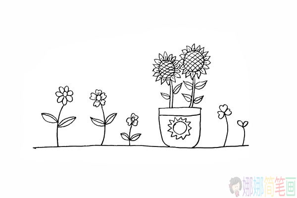 好看的向日葵的简笔画,向日癸的画法-16