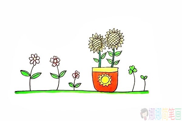 好看的向日葵的简笔画,向日癸的画法-17