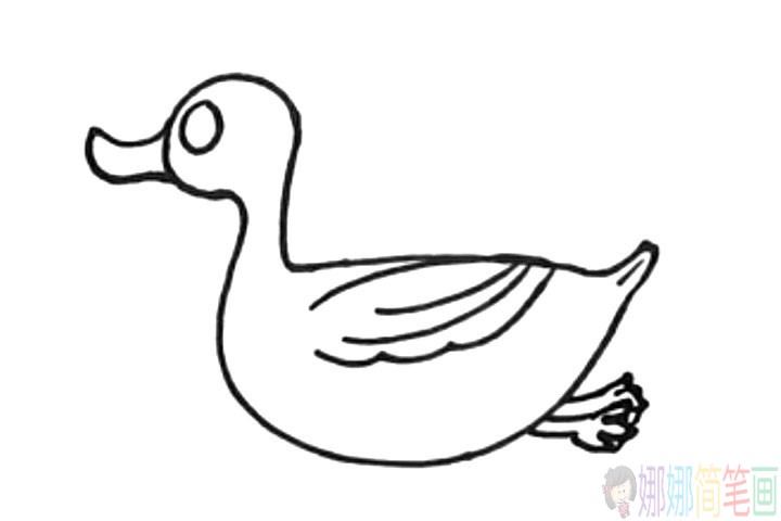 小鸭子的简笔画法-6