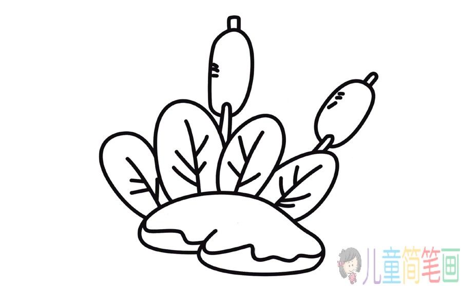 蒲棒的简笔画画法-1