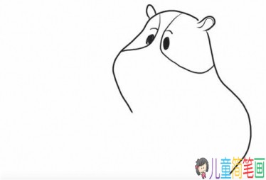 呆萌可爱的小豚鼠简笔画-3