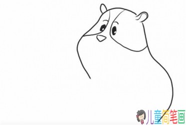 呆萌可爱的小豚鼠简笔画-4