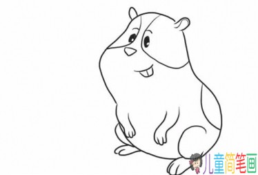 呆萌可爱的小豚鼠简笔画-6