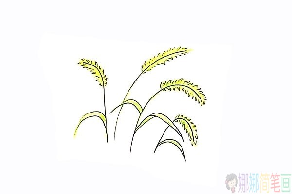 简单的狗尾草简笔画法步骤-10