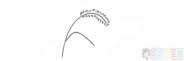 简单的狗尾草简笔画法步骤-4