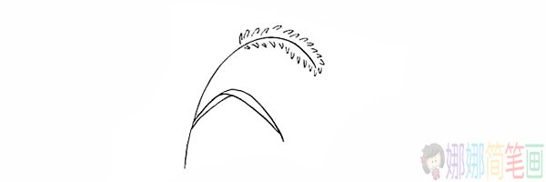 简单的狗尾草简笔画法步骤-5