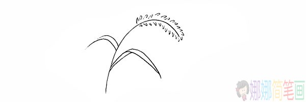简单的狗尾草简笔画法步骤-6