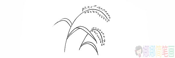 简单的狗尾草简笔画法步骤-7