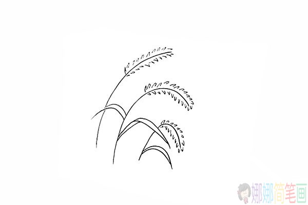 简单的狗尾草简笔画法步骤-8
