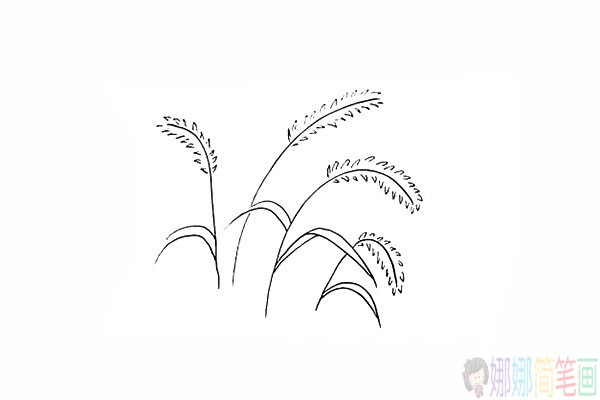 简单的狗尾草简笔画法步骤-9