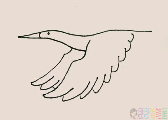 仙鹤怎么画,简笔画仙鹤的画法-5