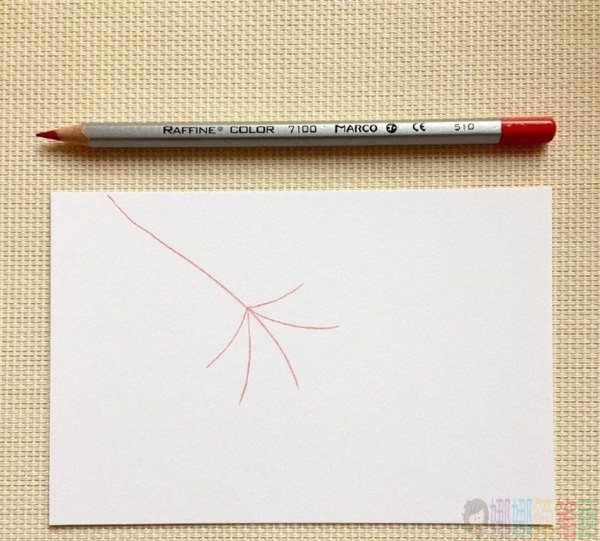 枫叶简笔画,枫叶的简单画法-2