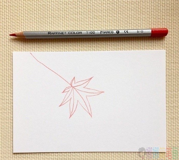 枫叶简笔画,枫叶的简单画法-3