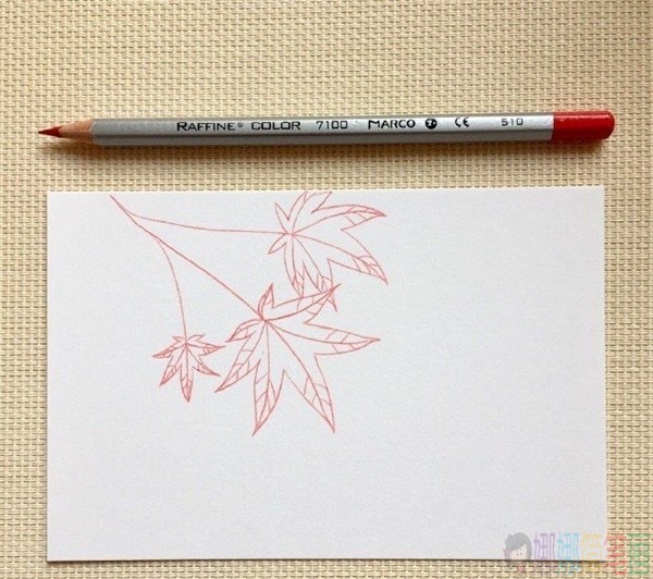 枫叶简笔画,枫叶的简单画法-5