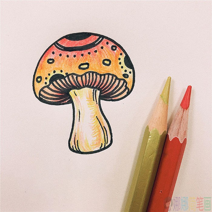 好看的彩色蘑菇简笔画教程-1