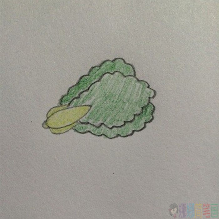 青菜简笔画画法-1
