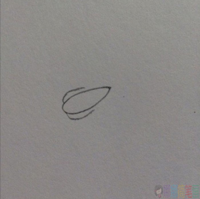 青菜简笔画画法-2