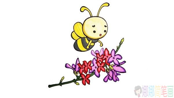 蜜蜂简笔画教程,蜜蜂怎么画-1