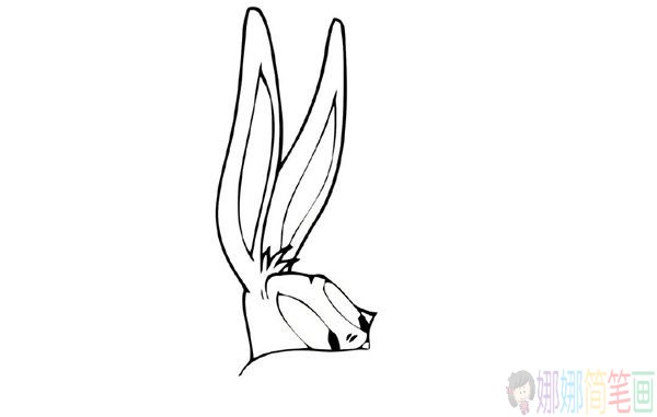兔八哥简笔画画法教程-3