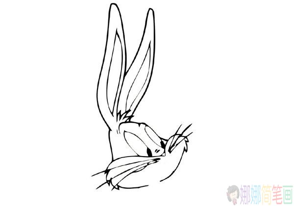 兔八哥简笔画画法教程-4