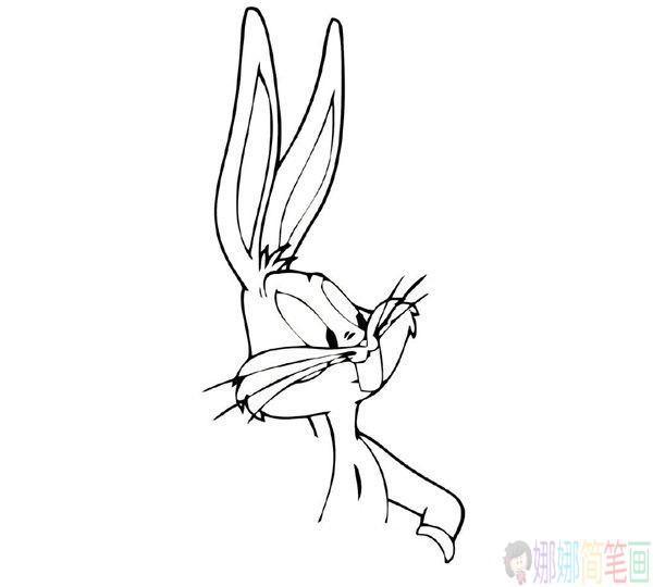 兔八哥简笔画画法教程-5
