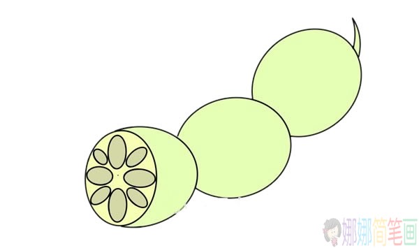 藕怎么画,莲藕简笔画教程-1
