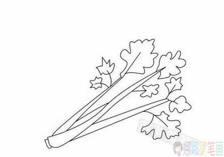 各种蔬菜的简单画法-5