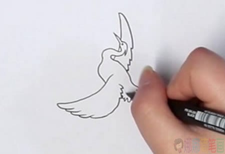 一行白鹭上青天简笔画画法-2