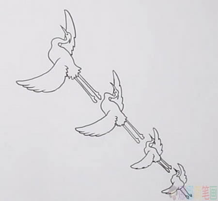一行白鹭上青天简笔画画法-4