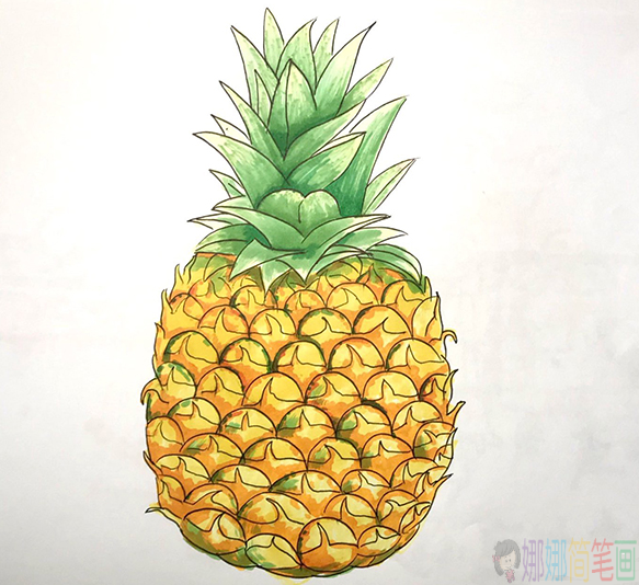 菠萝简笔画画法,菠萝怎么画-1