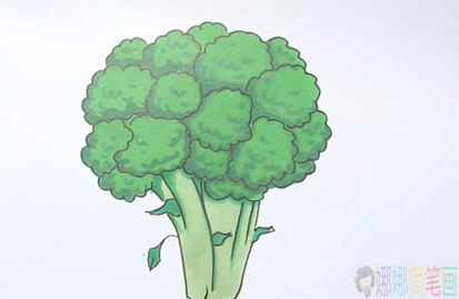 西兰花简笔画,西兰花怎么画-1