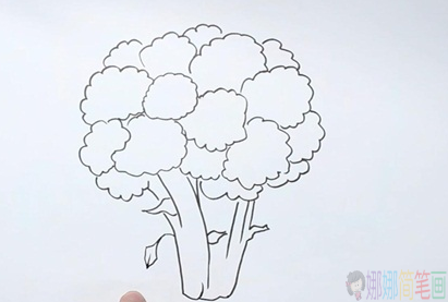 西兰花简笔画,西兰花怎么画-3