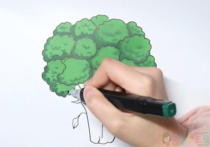 西兰花简笔画,西兰花怎么画-4