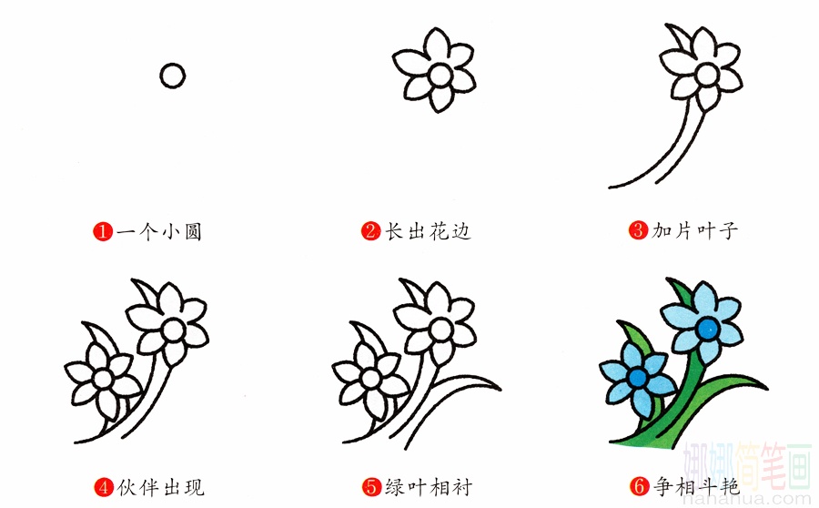 兰花的画法-1