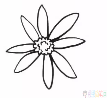 菊花儿童简笔画过程,菊花简笔画图片-3