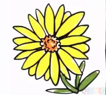 菊花儿童简笔画过程,菊花简笔画图片-4