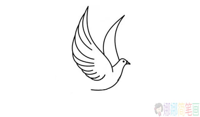 和平鸽简笔画,鸽子简笔画图片-2