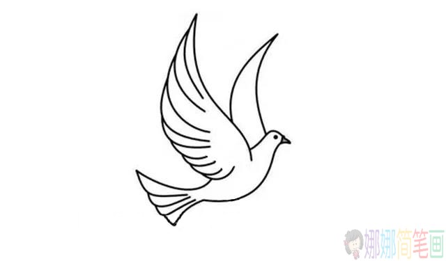 和平鸽简笔画,鸽子简笔画图片-3