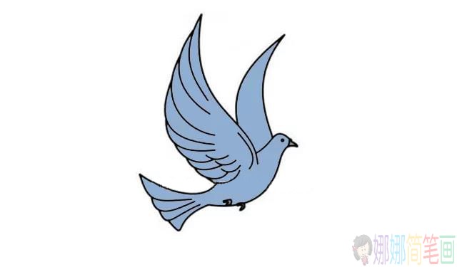 和平鸽简笔画,鸽子简笔画图片-5