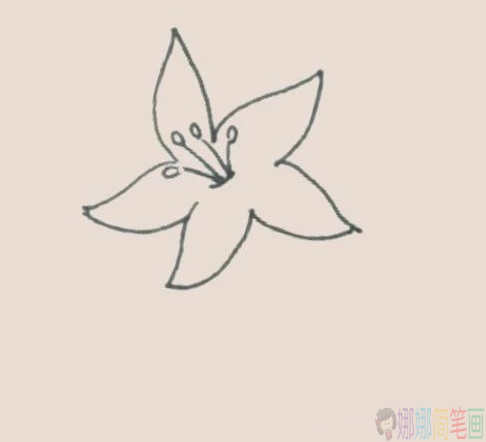 儿童简笔画百合花怎么画-3